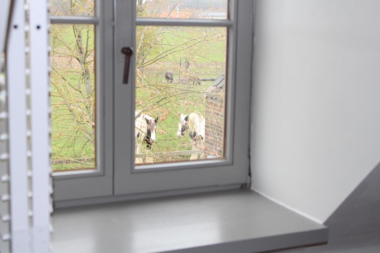 B&B Goed Ten Hulle Pittem Exterior foto