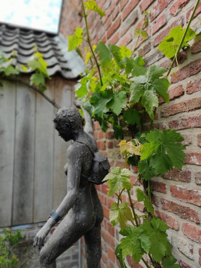 B&B Goed Ten Hulle Pittem Exterior foto